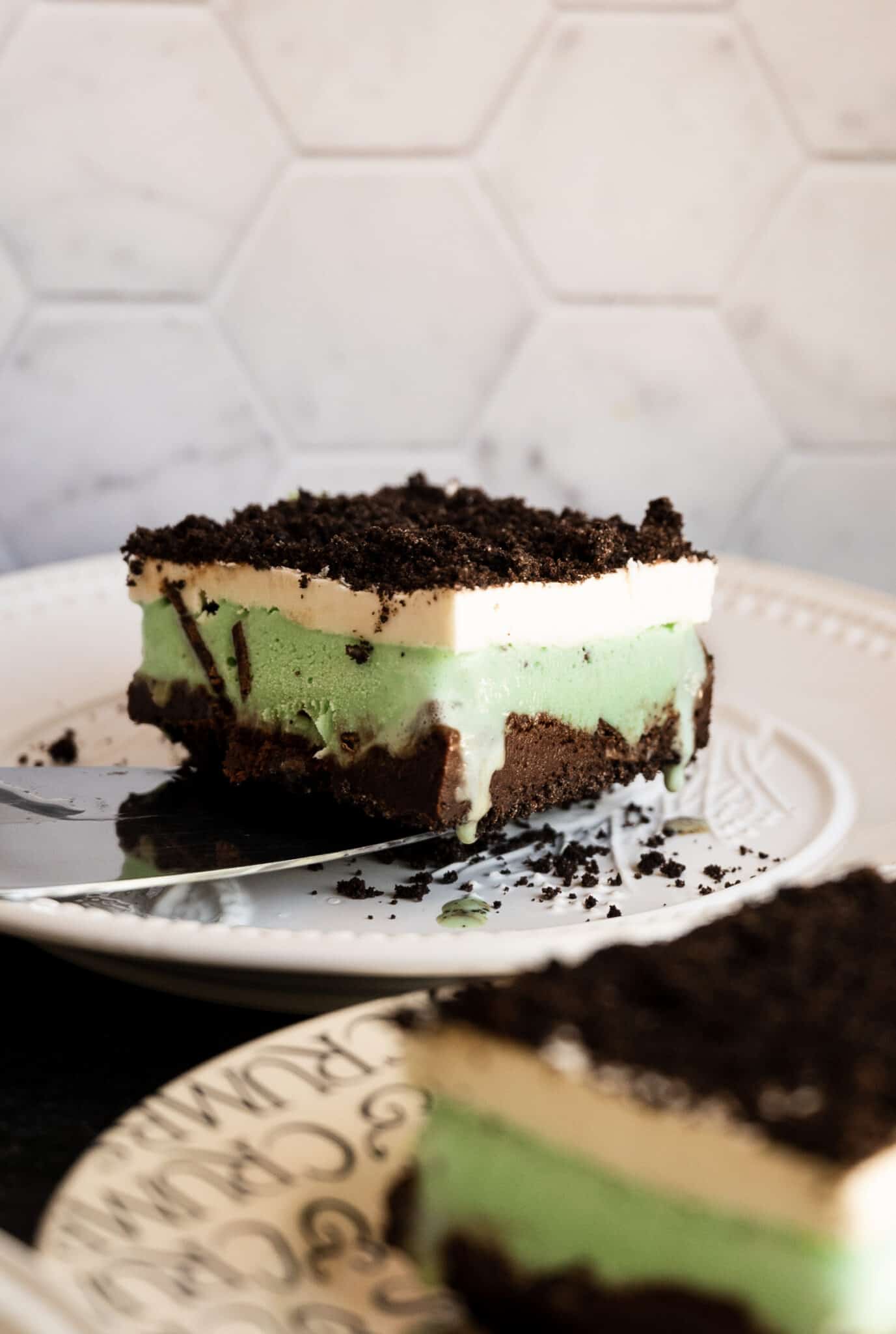 Truly the Best Mint Chocolate Chip Ice Cream Cake (Party size!) | Josie ...