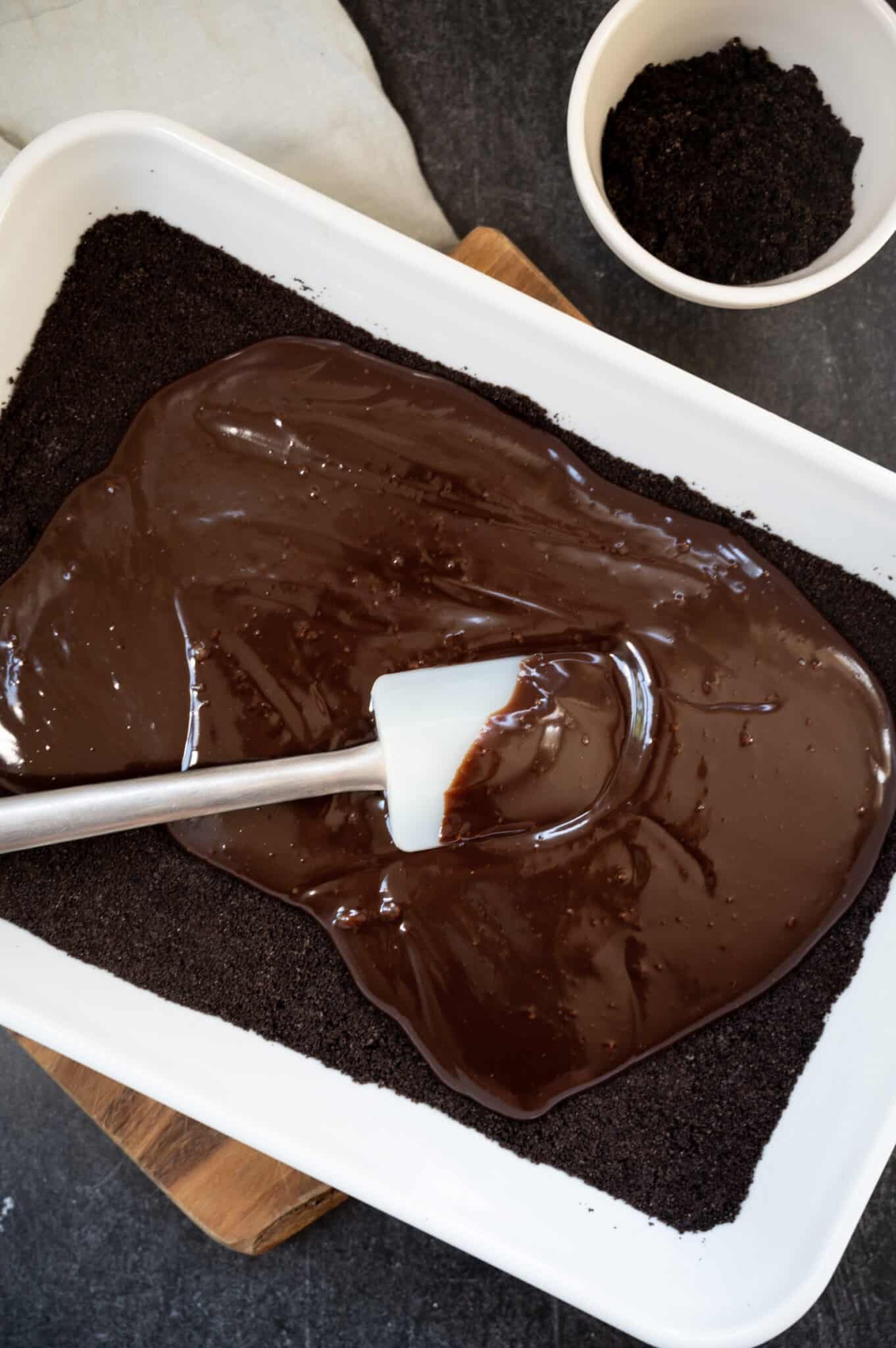 Truly the Best Mint Chocolate Chip Ice Cream Cake (Party size!) Josie