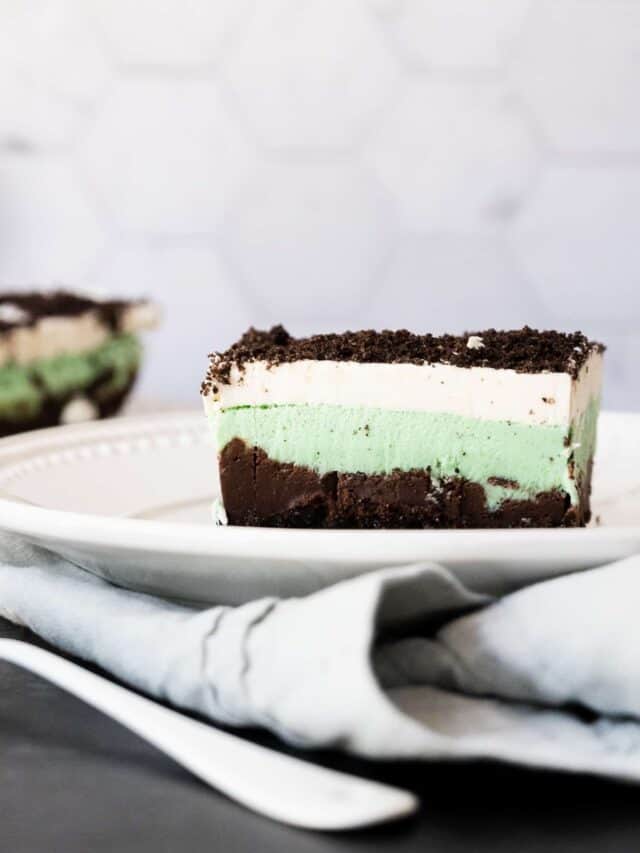 cropped-Mint-Choc-Chip-Ice-Cream-Cake_PIece_Closeup-2.jpg
