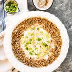 white pie plate of jack cheese dip with sunflower seeds and green onions on it.