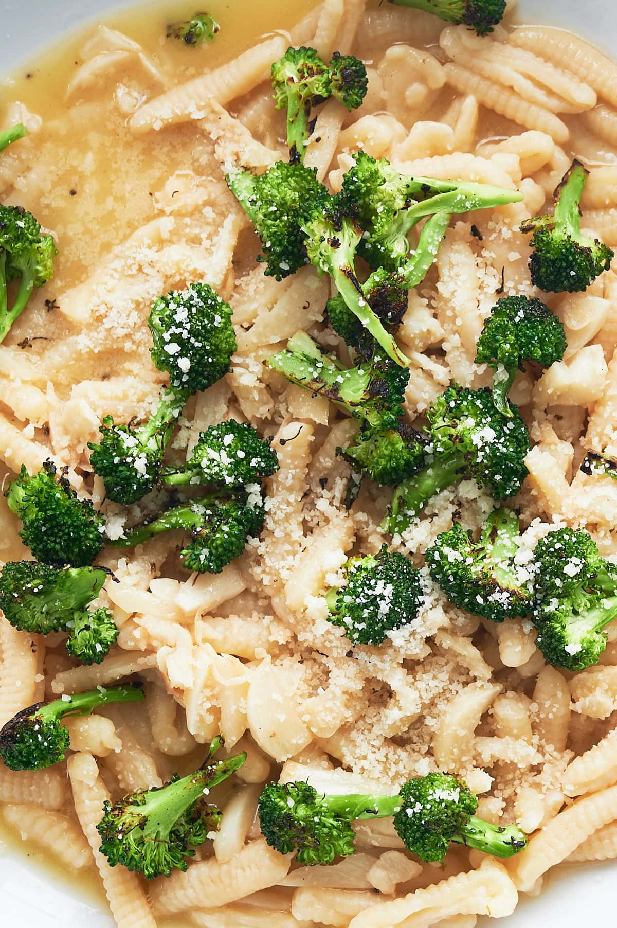 A closeup plate of cavatelli and broccoli, topped with grated cheese and tossed in a light sauce.