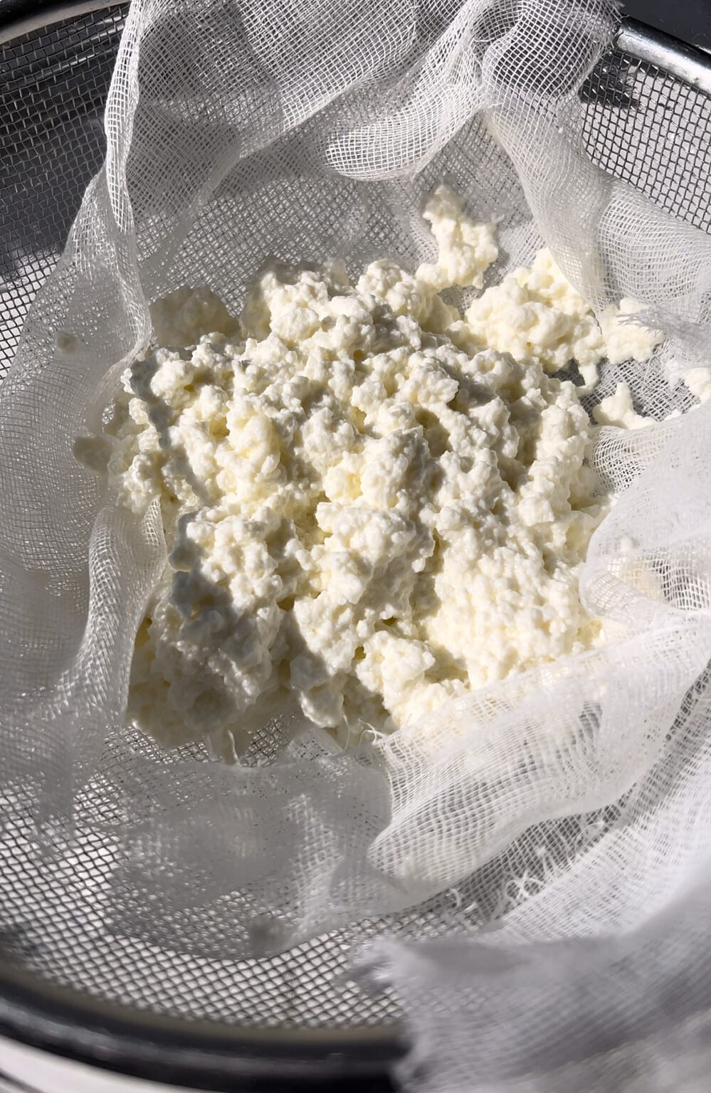 Extra Creamy Vanilla Bean Ricotta Cannoli Filling (or Dip) Josie + Nina