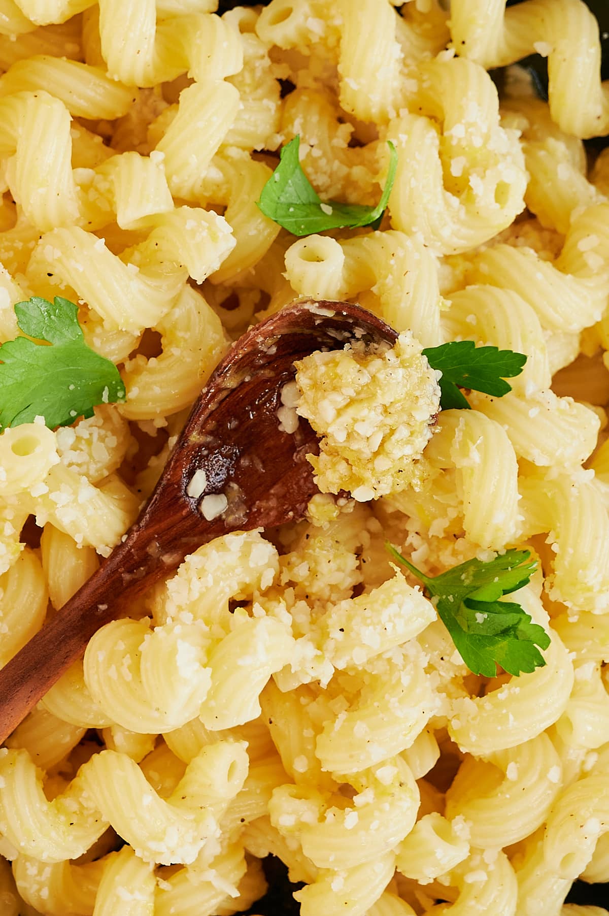 close up tossing lemon pesto on cavatappi pasta