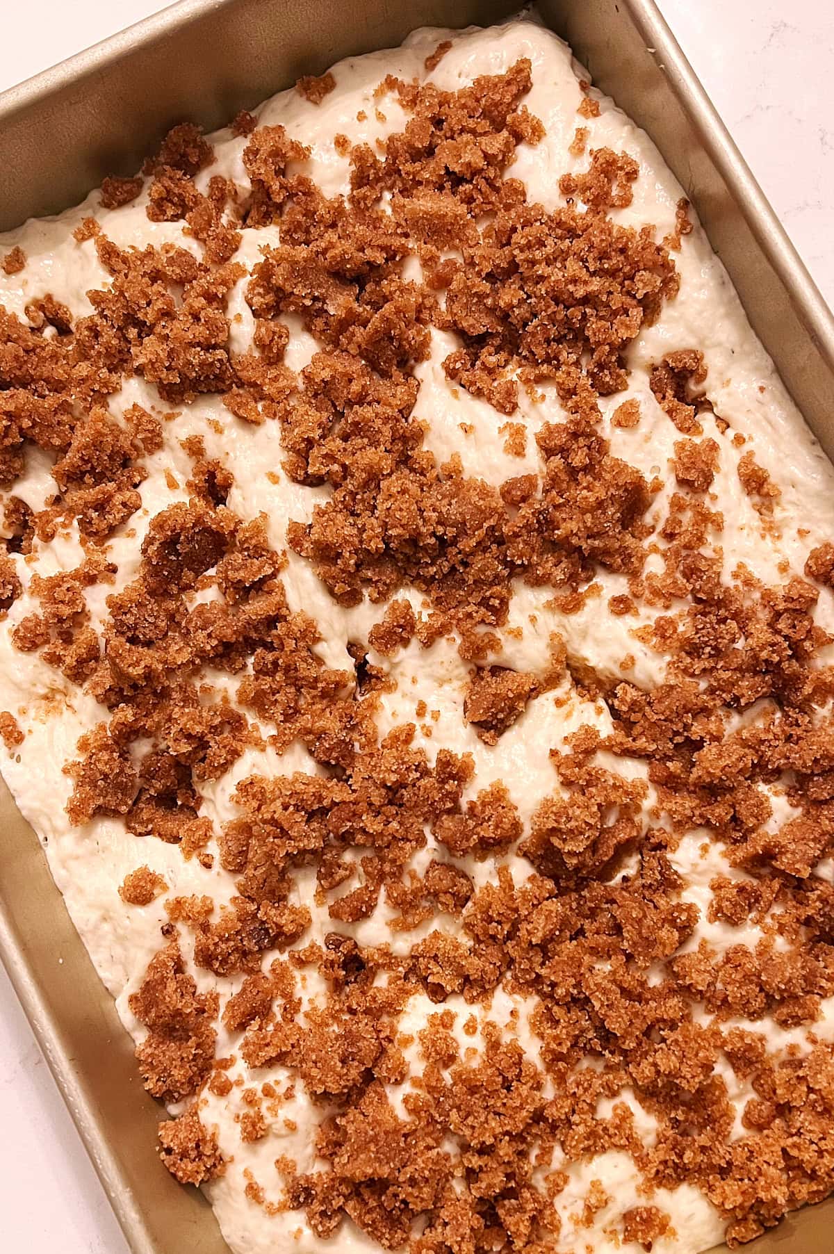 Pan of cinnamon topped focaccia dough before baking.