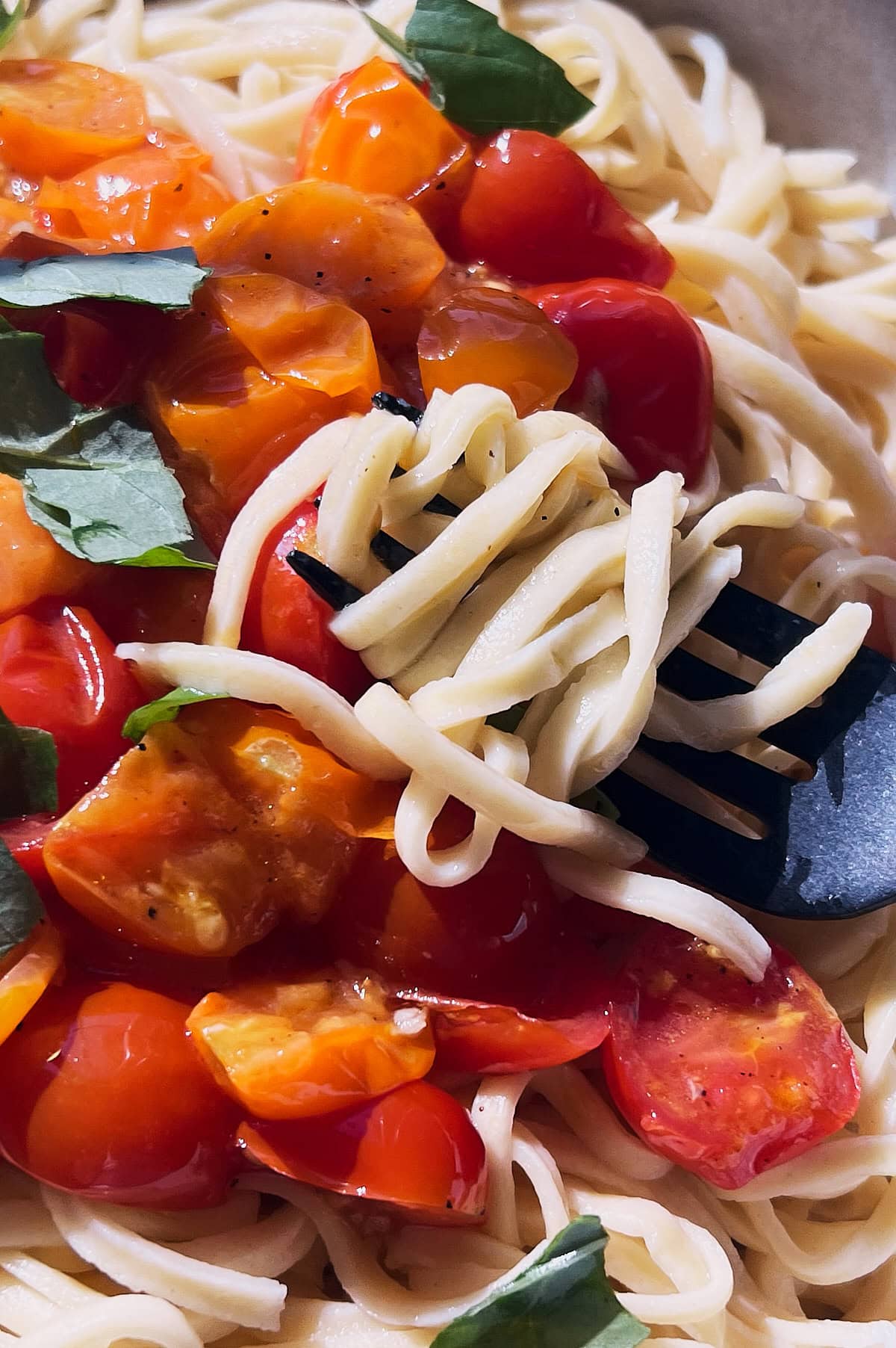 Black fork full of garlic tomato topped chitarra pasta with basil.