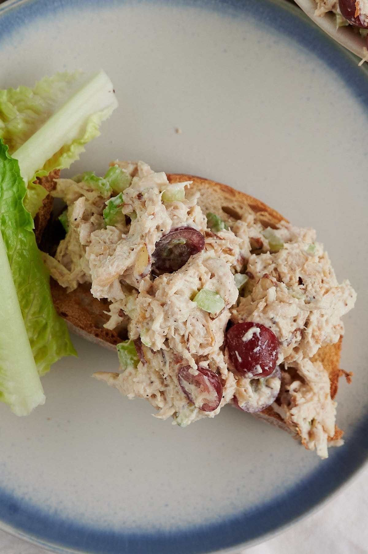 Open-faced sandwich with chicken salad containing sliced red grapes and celery on a slice of bread, served on a white plate with a few leaves of romaine lettuce.
