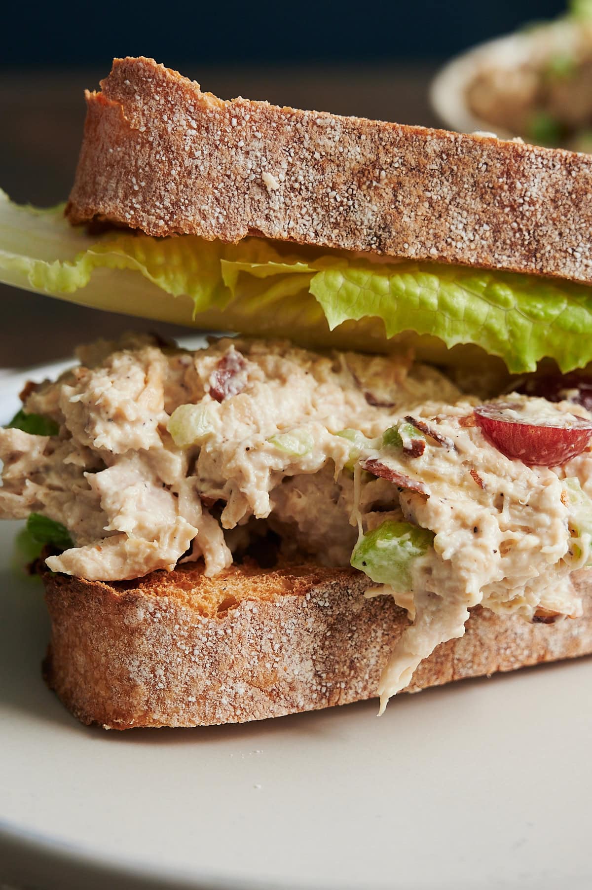 A close-up of a chicken salad sandwich on crusty bread with lettuce. The chicken salad contains pieces of grape and appears creamy.