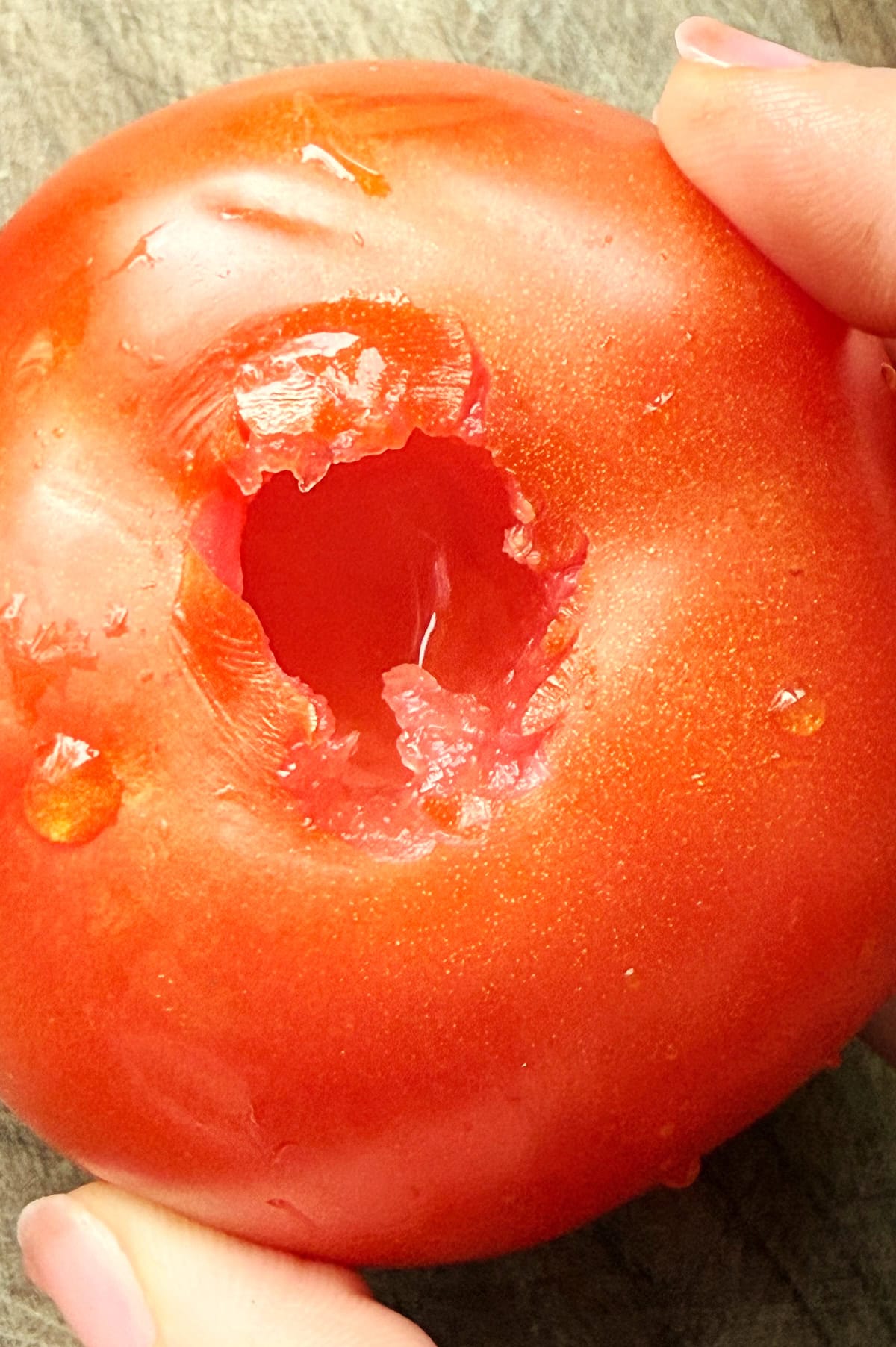 A close-up of a ripe tomato cored, held by two hands on either side, set against a neutral background.