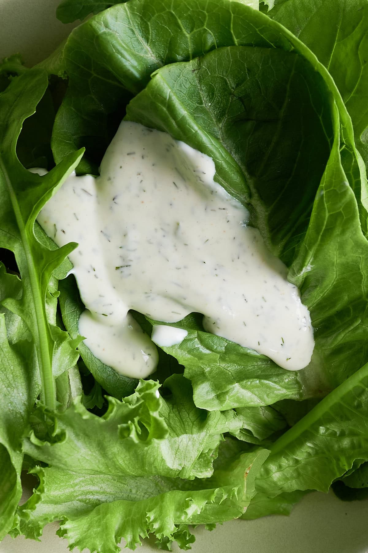 A close-up of fresh green lettuce leaves topped with a drizzle of creamy ranch dressing.