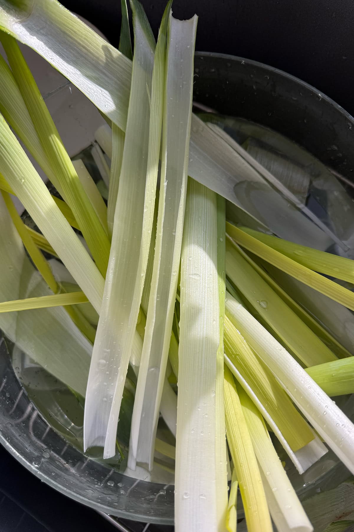 Long strips of leek soaking in a bowl of water, with sunlight highlighting the green and white sections.