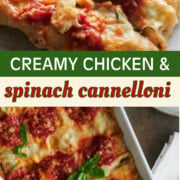Pinterest chicken cannelloni